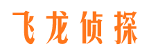 天元飞龙私家侦探公司